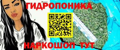 гашик Будённовск