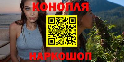 гашик Будённовск