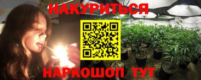 гашик Будённовск