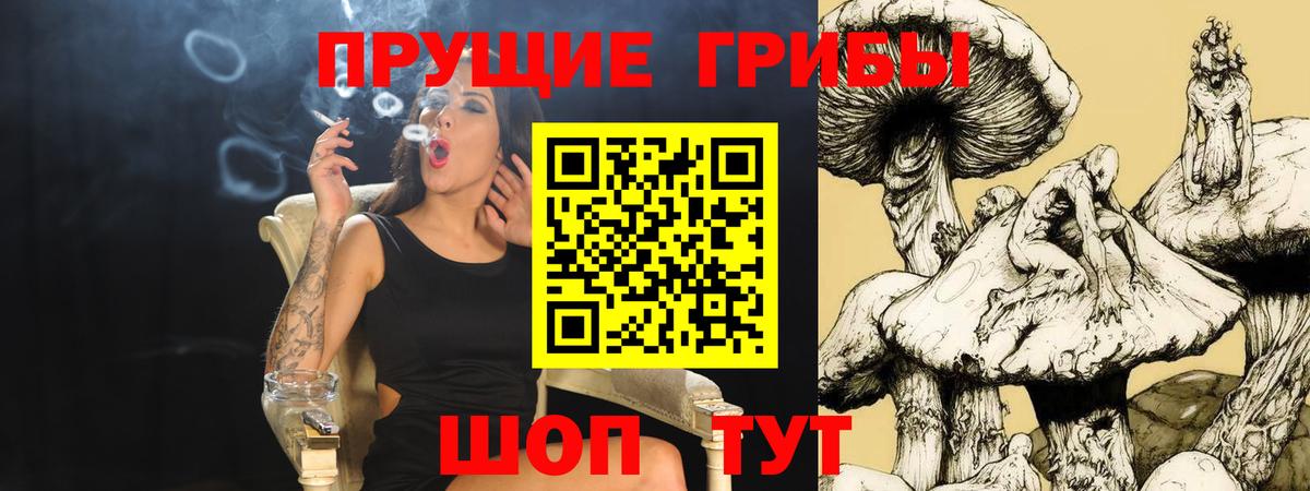 Псилоцибиновые грибы мицелий  Псилоцибиновые грибы Magic Shrooms  Вход с VPN  Москва 