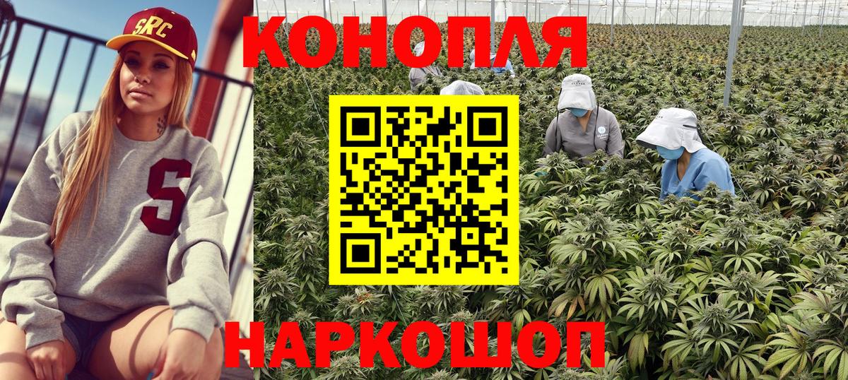 Марихуана тримм  Вход с VPN  Москва  Конопля SATIVA & INDICA  Марихуана Amnesia 